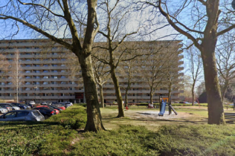 house image