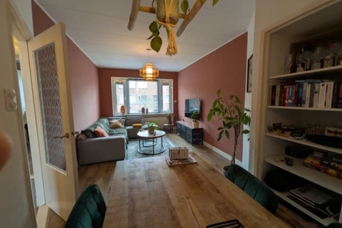 house image