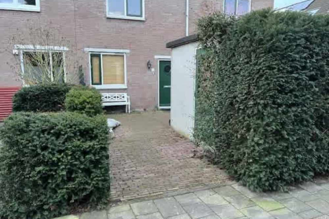 house image