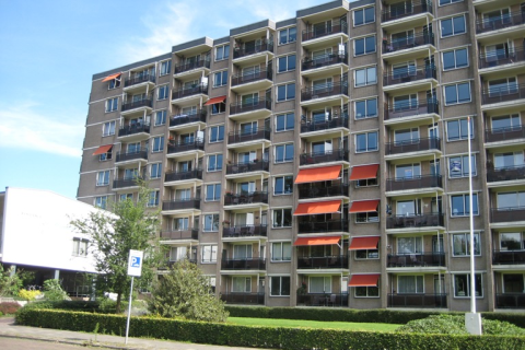house image