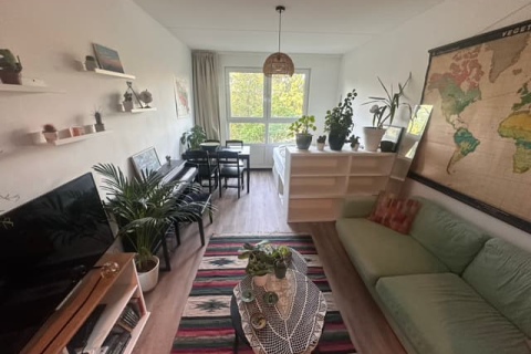 house image