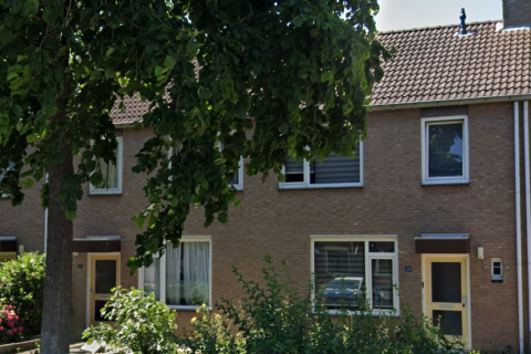 house image