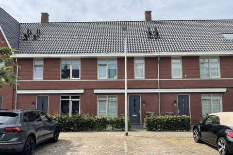 house image