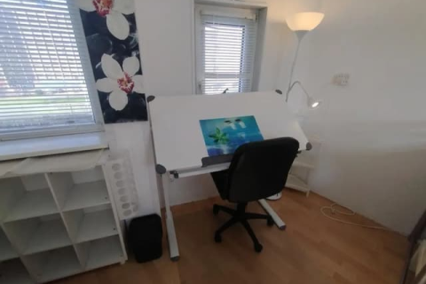 house image
