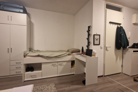 house image