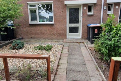 house image