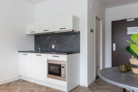 house image