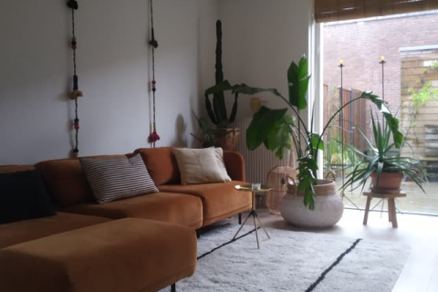 house image