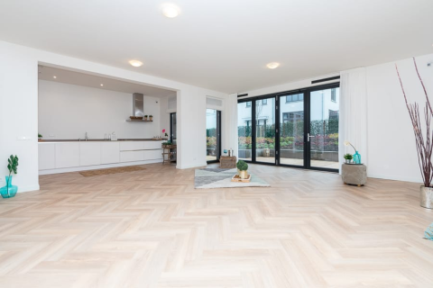 house image