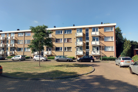 house image
