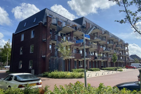 house image