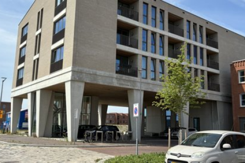 house image