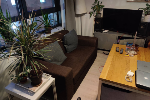 house image