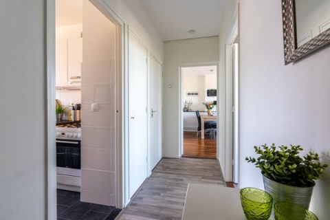 house image