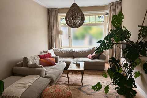 house image