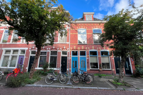house image