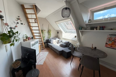 house image
