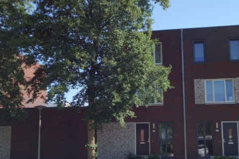 house image