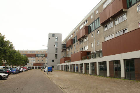 house image