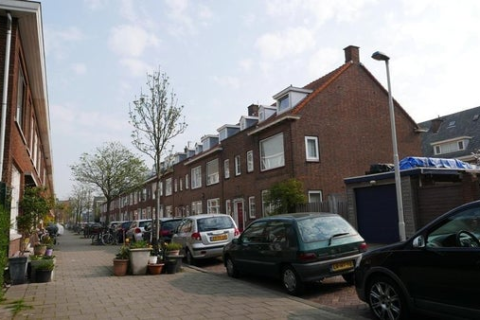 house image