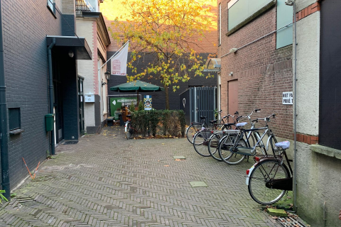 house image