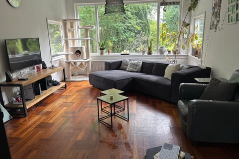 house image