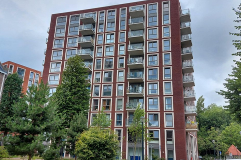 house image