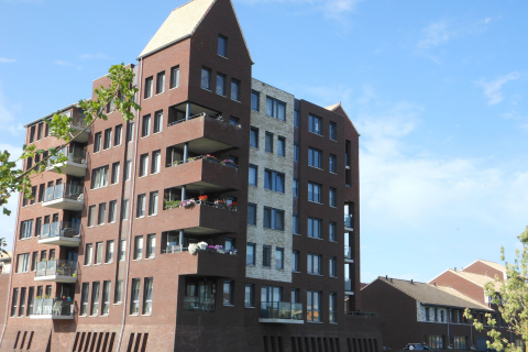 house image