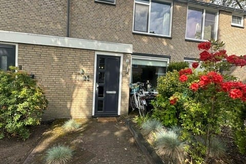 house image