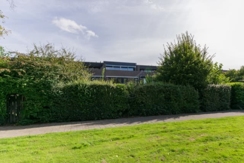 house image