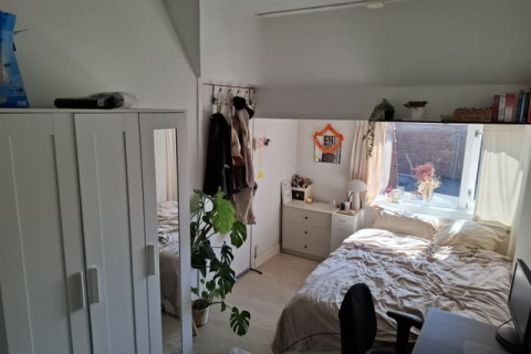 house image