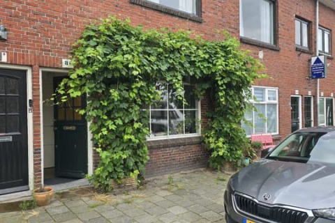 house image