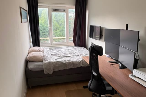 house image