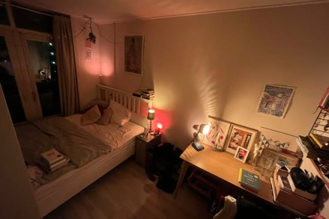 house image