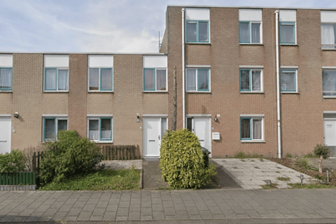 house image
