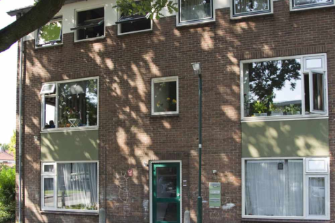 house image