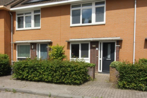 house image