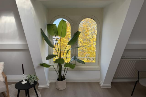 house image