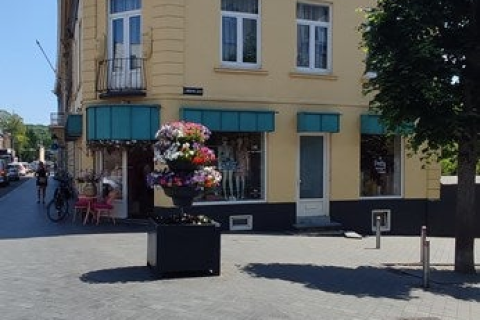 house image