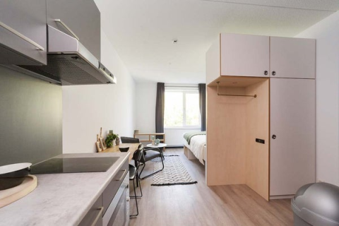 house image