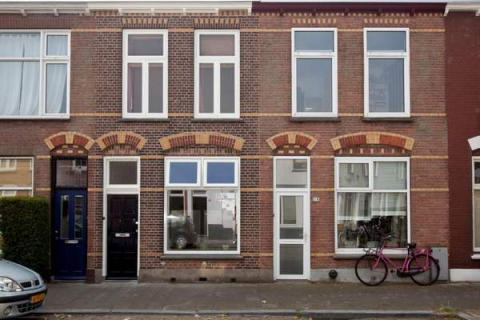 house image
