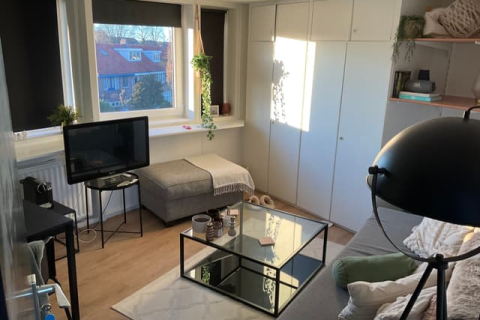 house image