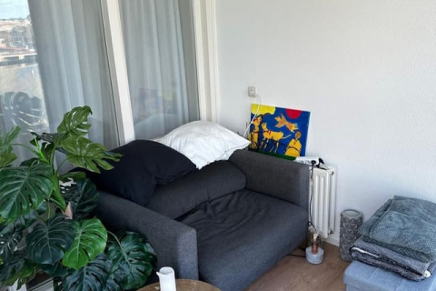 house image