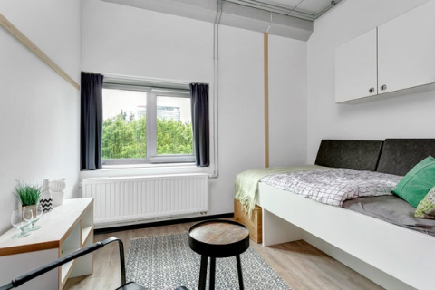 house image