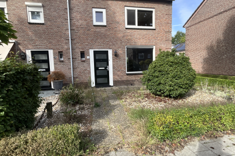 house image