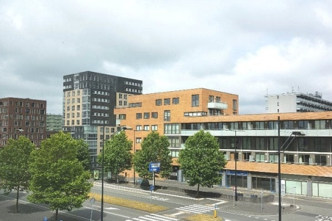 house image