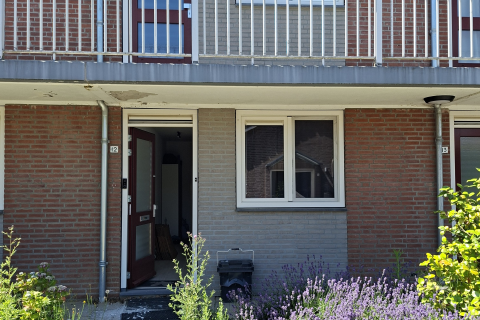 house image