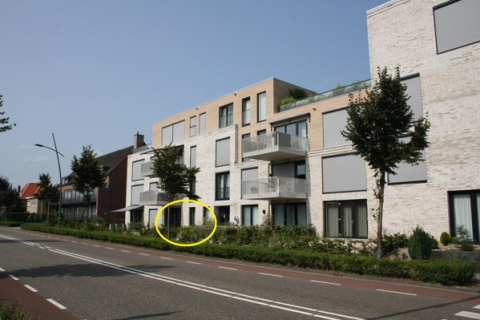 house image