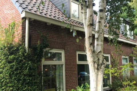 house image