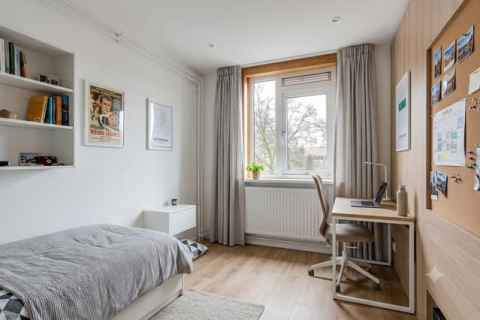 house image